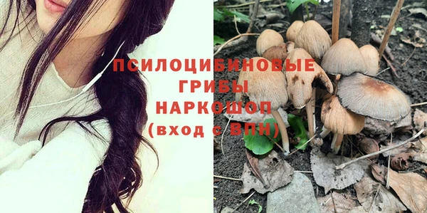 гашик Белоозёрский