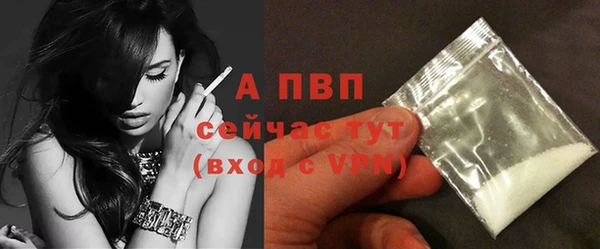 амф Беломорск
