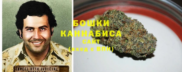 гашик Белоозёрский